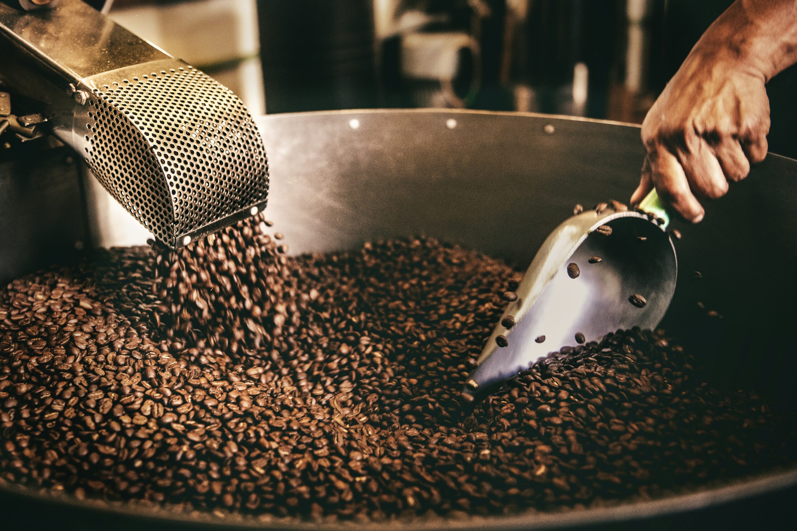 Roasted coffee beans being poured and scooped inside a large industrial coffee roasting machine.